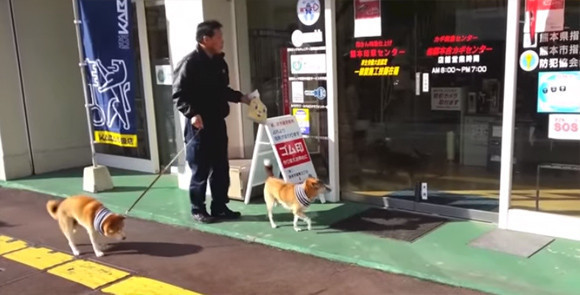 熊本県の鍵屋さんには犬専用の自動ドア開錠ボタンがあって驚きです。しかも犬がちゃんと使っている。俺の合鍵。