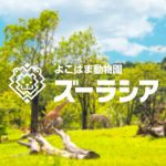 横浜市旭区のよこはま動物ズーラシア。合鍵作成・合鍵制作・ディンプルキー作成・スペアーキー作成するなら価格・値段・金額をするなら全国配送料無料でネット注文の俺の合鍵。カギ番号は他人に見せないで！家の合鍵・ロッカーの合鍵・金庫の合鍵。