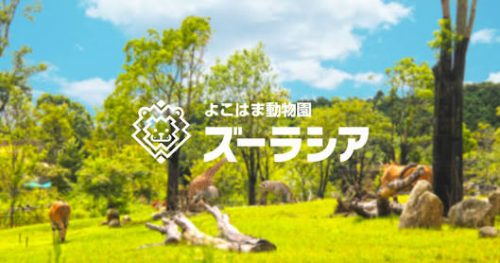 横浜市旭区のよこはま動物ズーラシア。合鍵作成・合鍵制作・ディンプルキー作成・スペアーキー作成するなら価格・値段・金額をするなら全国配送料無料でネット注文の俺の合鍵。カギ番号は他人に見せないで！家の合鍵・ロッカーの合鍵・金庫の合鍵。