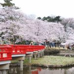 さいたま市岩槻区の岩槻区城址公園の写真。合鍵作成・合鍵制作・ディンプルキー作成・スペアーキー作成するなら価格・値段・金額をするなら全国配送料無料でネット注文の俺の合鍵。カギ番号は他人に見せないで！家の合鍵・ロッカーの合鍵・金庫の合鍵。