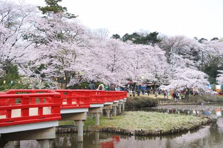 さいたま市岩槻区の岩槻区城址公園の写真。合鍵作成・合鍵制作・ディンプルキー作成・スペアーキー作成するなら価格・値段・金額をするなら全国配送料無料でネット注文の俺の合鍵。カギ番号は他人に見せないで！家の合鍵・ロッカーの合鍵・金庫の合鍵。