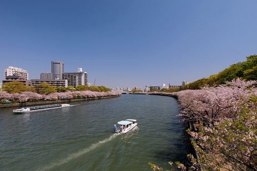 大阪府大阪市都島区ので合鍵制作・合鍵制作・ディンプルキー作成・スペアキー作成・鍵複製・純正キーお取り寄せ作成するには必ず鍵本体をご持参ください。ネット注文無料配送、俺の合鍵