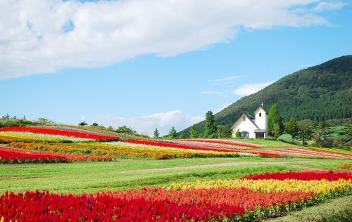 宮城県加美町の周辺で鍵作成・合鍵作成・ディンプルキー注文・キー作成する場合には鍵本体をご持参ください。合鍵ネット注文の【俺の合鍵】