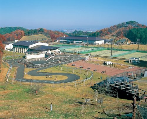 宮城県岩沼市の周辺で鍵作成・合鍵作成・ディンプルキー注文・キー作成する場合には鍵本体をご持参ください。合鍵ネット注文の【俺の合鍵】