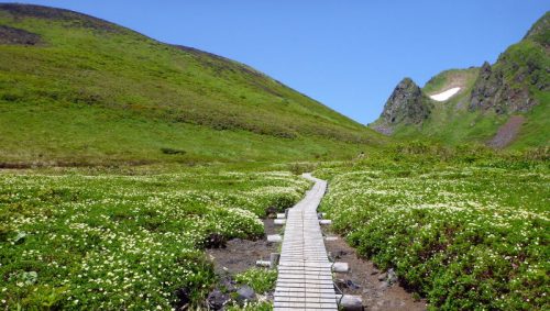 秋田県山本郡藤里町の周辺で合鍵・スペアキー・ディンプルキー作るなら、店舗に行かなくてもネット注文できる【俺の合鍵】テレビでおなじみ