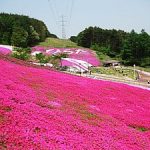 福島県石川郡平田村の周辺で合鍵作成・合鍵お取り寄せをする場合には俺の合鍵が人気！！合鍵ネット注文送料無料俺の合鍵テレビでおなじみ。