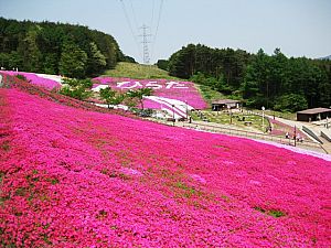 福島県石川郡平田村の周辺で合鍵作成・合鍵お取り寄せをする場合には俺の合鍵が人気！！合鍵ネット注文送料無料俺の合鍵テレビでおなじみ。