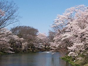 福島県東白川郡棚倉町の周辺で合鍵作成・合鍵お取り寄せをする場合には俺の合鍵が人気!!合鍵ネット注文送料無料俺の合鍵テレビでおなじみ。