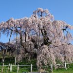 福島県田村郡三春町の周辺で合鍵作成・合鍵お取り寄せをする場合には俺の合鍵が人気！！合鍵ネット注文送料無料俺の合鍵テレビでおなじみ。