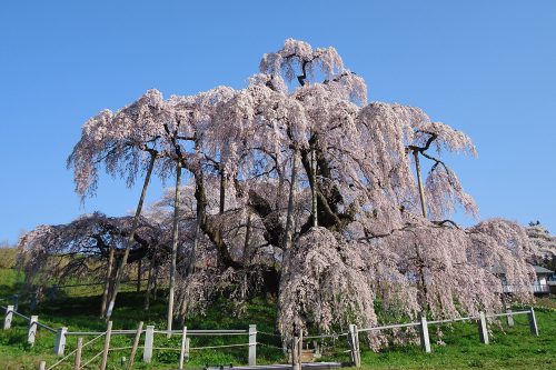 福島県田村郡三春町の周辺で合鍵作成・合鍵お取り寄せをする場合には俺の合鍵が人気！！合鍵ネット注文送料無料俺の合鍵テレビでおなじみ。