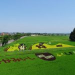 福島県岩瀬郡鏡石町の周辺で合鍵作成・合鍵お取り寄せをする場合には俺の合鍵が人気！！合鍵ネット注文送料無料俺の合鍵テレビでおなじみ。