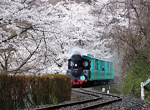 福島県伊達市の周辺で合鍵作成・合鍵お取り寄せをする場合には俺の合鍵が人気！！合鍵ネット注文送料無料俺の合鍵テレビでおなじみ。