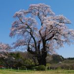 福島県本宮市の周辺で合鍵作成・合鍵お取り寄せをする場合には俺の合鍵が人気！！合鍵ネット注文送料無料俺の合鍵テレビでおなじみ。