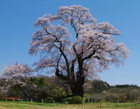 福島県本宮市の周辺で合鍵作成・合鍵お取り寄せをする場合には俺の合鍵が人気！！合鍵ネット注文送料無料俺の合鍵テレビでおなじみ。