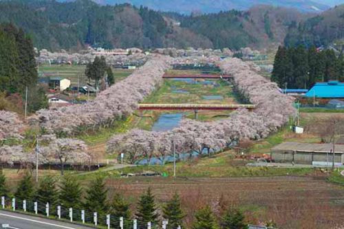 福島県田村郡小野町の周辺で合鍵作成・合鍵お取り寄せをする場合には俺の合鍵が人気！！合鍵ネット注文送料無料俺の合鍵テレビでおなじみ。