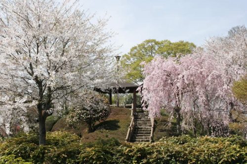 栃木県河内郡上三川町で合鍵作成・ディンプルキーを作る場合にはメーカーロゴ刻印の新カギをご持参ください。俺の合鍵