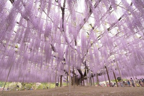 栃木県足利市で合鍵作成・ディンプルキーを作る場合にはメーカーロゴ刻印の新カギをご持参ください。俺の合鍵