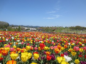 丘陵 公園 長岡 長岡駅→関原→越後丘陵公園・田代線[越後交通]のバス路線図