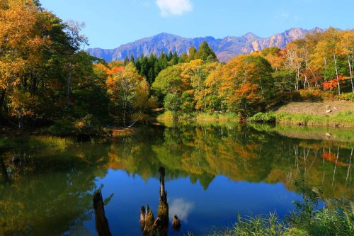 長野県下水内郡栄村で、合鍵作りたい・ディンプルキー作成したい・純正キー作りたい場合には、【俺の合鍵】でも合鍵ネット注文できます。