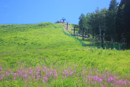 長野県東筑摩郡麻績村で、合鍵作りたい・ディンプルキー作成したい・純正キー作りたい場合には、【俺の合鍵】でも合鍵ネット注文できます。