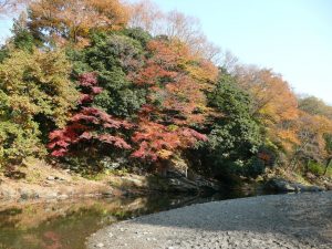 埼玉県比企郡嵐山町で、合鍵作りたい・合鍵作成した・合鍵なくした場合には、ネット注文できる【俺の合鍵へ】テレビでおなじみ
