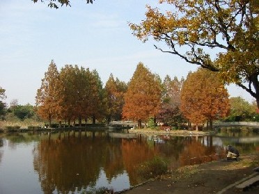 埼玉県上尾市で合鍵作りたい・合鍵無くした・合鍵作成したい場合には、インターネット注文の俺の合鍵へ。