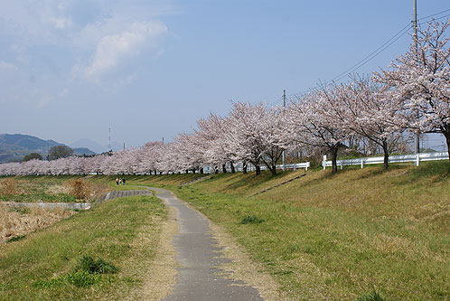 埼玉県本庄市で合鍵作りたい・合鍵無くした・合鍵作成したい場合には、インターネット注文の俺の合鍵へ。