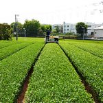 埼玉県狭山市で合鍵作りたい・合鍵無くした・合鍵作成したい場合には、インターネット注文の俺の合鍵へ。