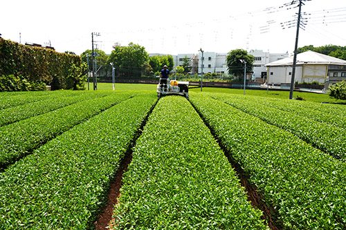 埼玉県狭山市で合鍵作りたい・合鍵無くした・合鍵作成したい場合には、インターネット注文の俺の合鍵へ。