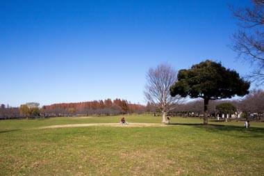 埼玉県三郷市で合鍵作りたい・合鍵無くした・合鍵作成したい場合には、インターネット注文の俺の合鍵へ。