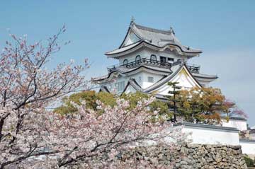 大阪府岸和田市でもし、合鍵失くしたり、合鍵盗まれたり、合鍵取られたりした場合には、インターネット注文ができる俺の合鍵で注文ください。最短5日でお届けできます。