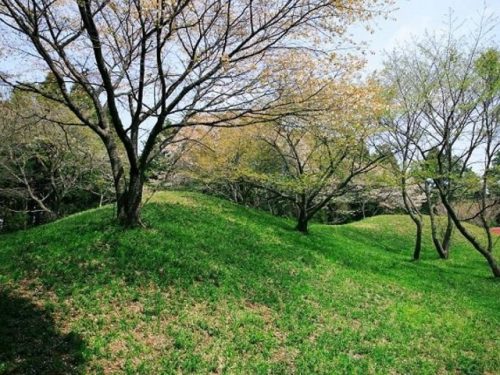 千葉県山武郡横芝光町で合鍵作りたい・合鍵なくした場合には、店舗で作るより早いネット注文【俺の合鍵】。