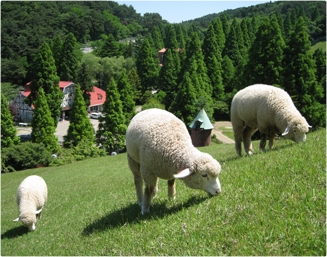 兵庫県神戸市灘区の店舗でディンプルキー作成するよりも、ネット注文【俺の合鍵】自宅へ宅配で人気です。