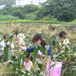 千葉県長生郡長柄町で合鍵作りたい・合鍵なくした場合には、店舗で作るより早いネット注文【俺の合鍵】です。