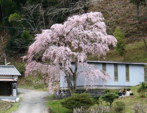 兵庫県赤穂郡上郡町、の店舗でディンプルキー作成するよりも、ネット注文【俺の合鍵】自宅へ宅配で人気です。