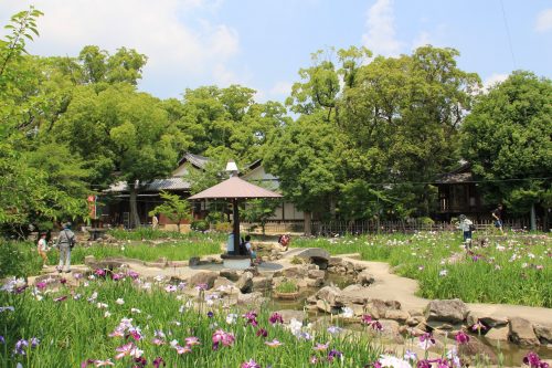 愛知県知立市で合鍵作成・ディンプルキー作りたい・スペアキー作りたい場合にはお近くの店舗を探す前に【俺の合鍵】ネット検索が便利です。なんと自宅に宅配いたします。