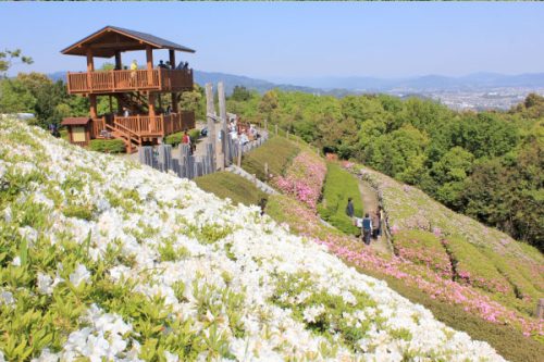 愛知県豊川市で合鍵作成・ディンプルキー作りたい・スペアキー作りたい場合にはお近くの店舗を探す前に【俺の合鍵】ネット検索が便利です。なんと自宅に宅配いたします。