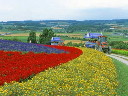 北海道空知郡上富良野町の近くの店舗で合鍵を作りたい場合には、インターネット注文が便利です【俺の合鍵】５分で注文自宅に宅配いたします。