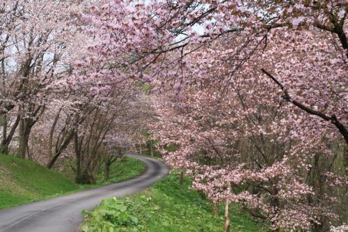 北海道空知郡奈井江町の近くの店舗で合鍵を作りたい場合には、インターネット注文が便利です【俺の合鍵】５分で注文自宅に宅配いたします。