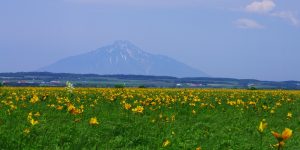 北海道天塩郡豊富町の近くの店舗で合鍵を作りたい場合には、インターネット注文が便利です【俺の合鍵】5分で注文自宅に宅配いたします。