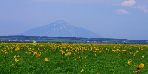 北海道天塩郡豊富町の近くの店舗で合鍵を作りたい場合には、インターネット注文が便利です【俺の合鍵】５分で注文自宅に宅配いたします。