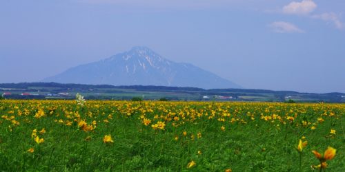 北海道天塩郡豊富町の近くの店舗で合鍵を作りたい場合には、インターネット注文が便利です【俺の合鍵】５分で注文自宅に宅配いたします。