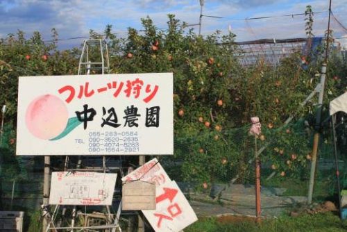 山梨県南アルプス市の近くで合鍵を注文する場合には店舗に行かなくても注文可能な俺の合鍵へ。