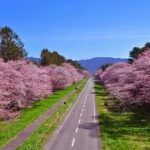 北海道日高郡新ひだか町のどの場所に行けば合鍵できますか？！【俺の合鍵】鍵番号はあなたの家のパスワード