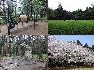 茨城県龍ケ崎市で合鍵を失くした場合で、合鍵を作りたい場合はインタネット注文が便利です。【俺の合鍵】5分でネット注文。