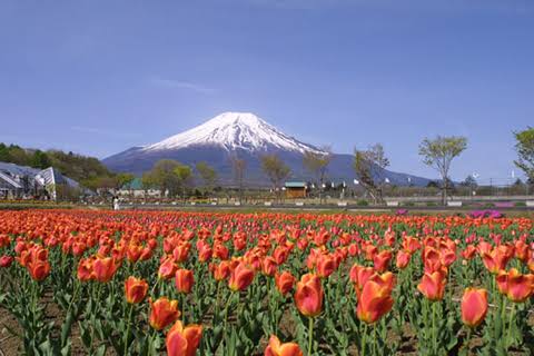 山梨県南都留郡山中湖村の近くで合鍵を注文する場合には店舗に行かなくても注文可能な俺の合鍵へ。