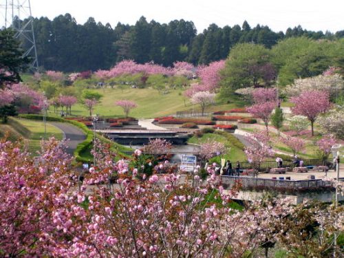 茨城県那珂市で合鍵を失くした場合で、合鍵を作りたい場合はインタネット注文が便利です。【俺の合鍵】５分でネット注文。