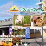 茨城県東茨城郡茨城町で合鍵を失くした場合で、合鍵を作りたい場合はインタネット注文が便利です。【俺の合鍵】５分でネット注文。