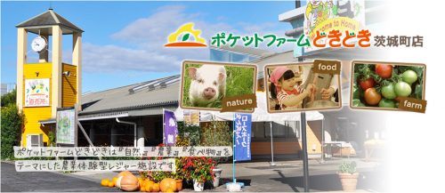 茨城県東茨城郡茨城町で合鍵を失くした場合で、合鍵を作りたい場合はインタネット注文が便利です。【俺の合鍵】５分でネット注文。