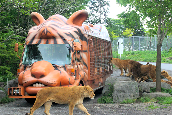 稲城市で合鍵を作るには 合鍵の通販サイト 俺の合鍵